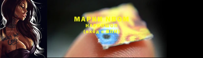 гидропоника Горнозаводск
