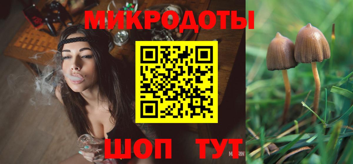 Галлюциногенные грибы Cubensis Москва